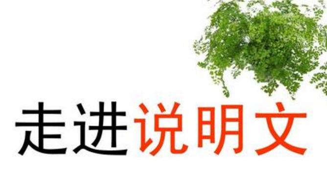 說明文閱讀知識點_說明文閱讀答題技巧歸納