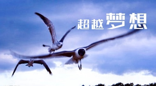 關(guān)于CCTV推薦的勵(lì)志書籍精選